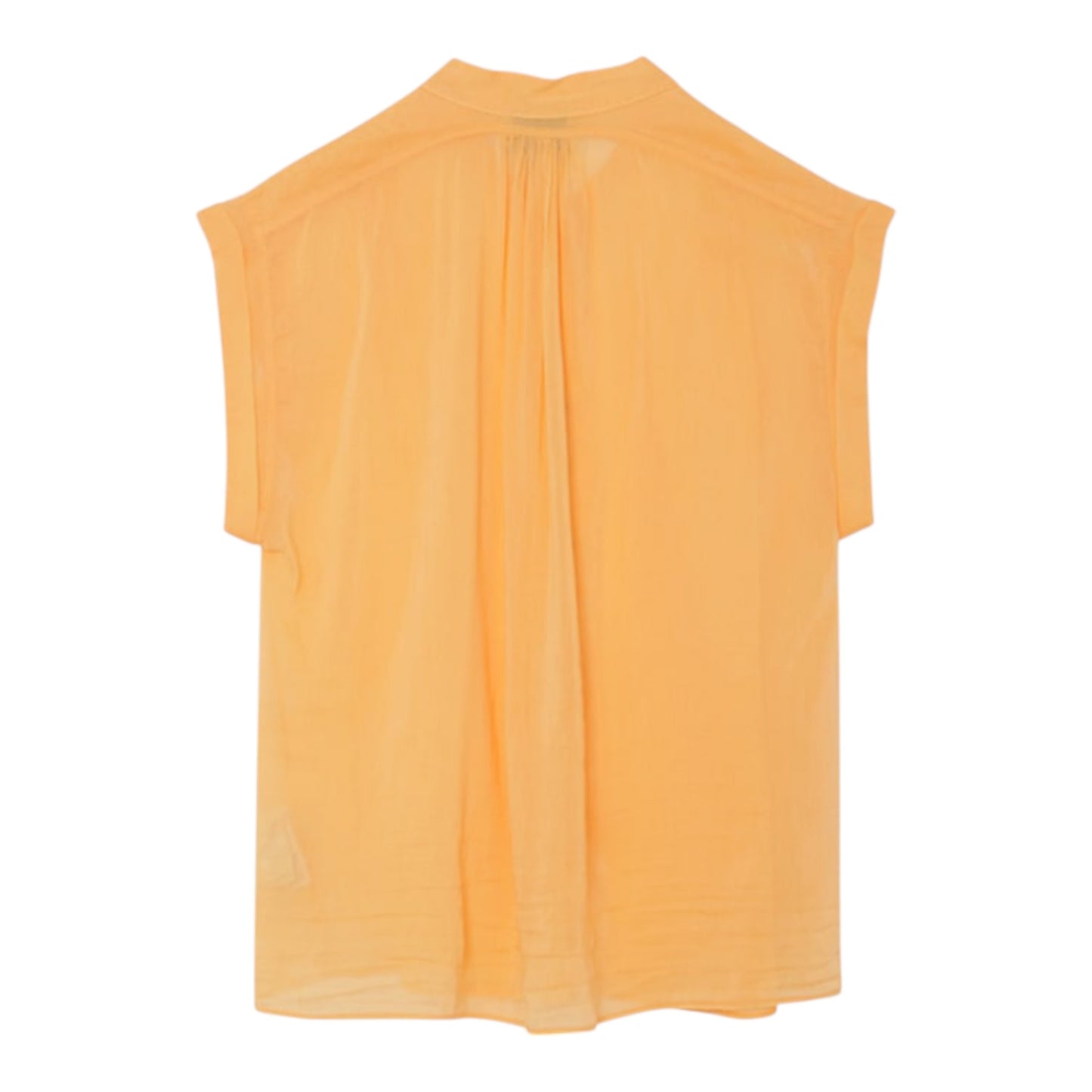 Sheer Summer Band Blouse