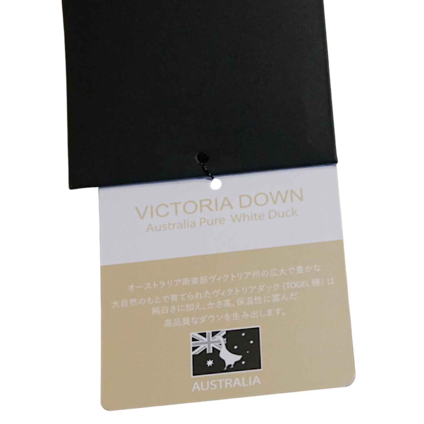 The Cocoon of Purity: VICTORIA DOWN High-Neck Coat