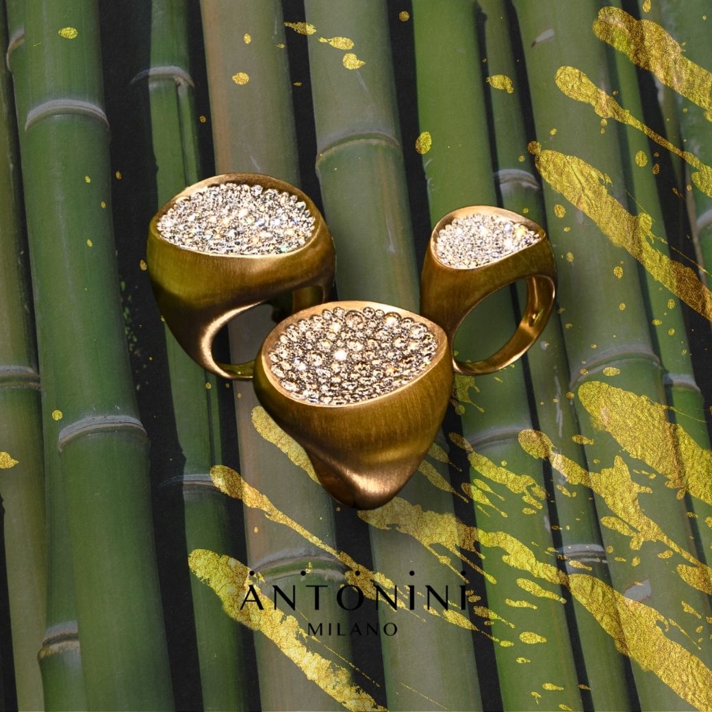 💎 伝統と革新の共演｜ANTONINI トランクショー at Boutique HANAYA