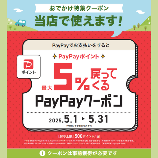 ꙳✧˖°⌖ PayPay　5/31まで最大\ 5%戻ってくる / ꙳✧˖°⌖