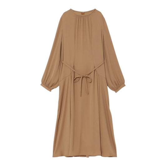 The Elegant Versatile Dress