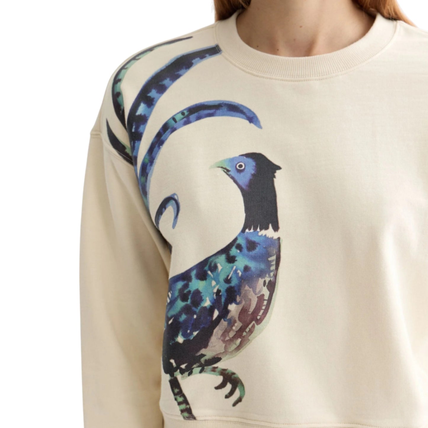 The Artful Peacock Sweatshirt