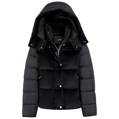 The Obsidian Chameleon: Velvet Whisper, Alpine Power