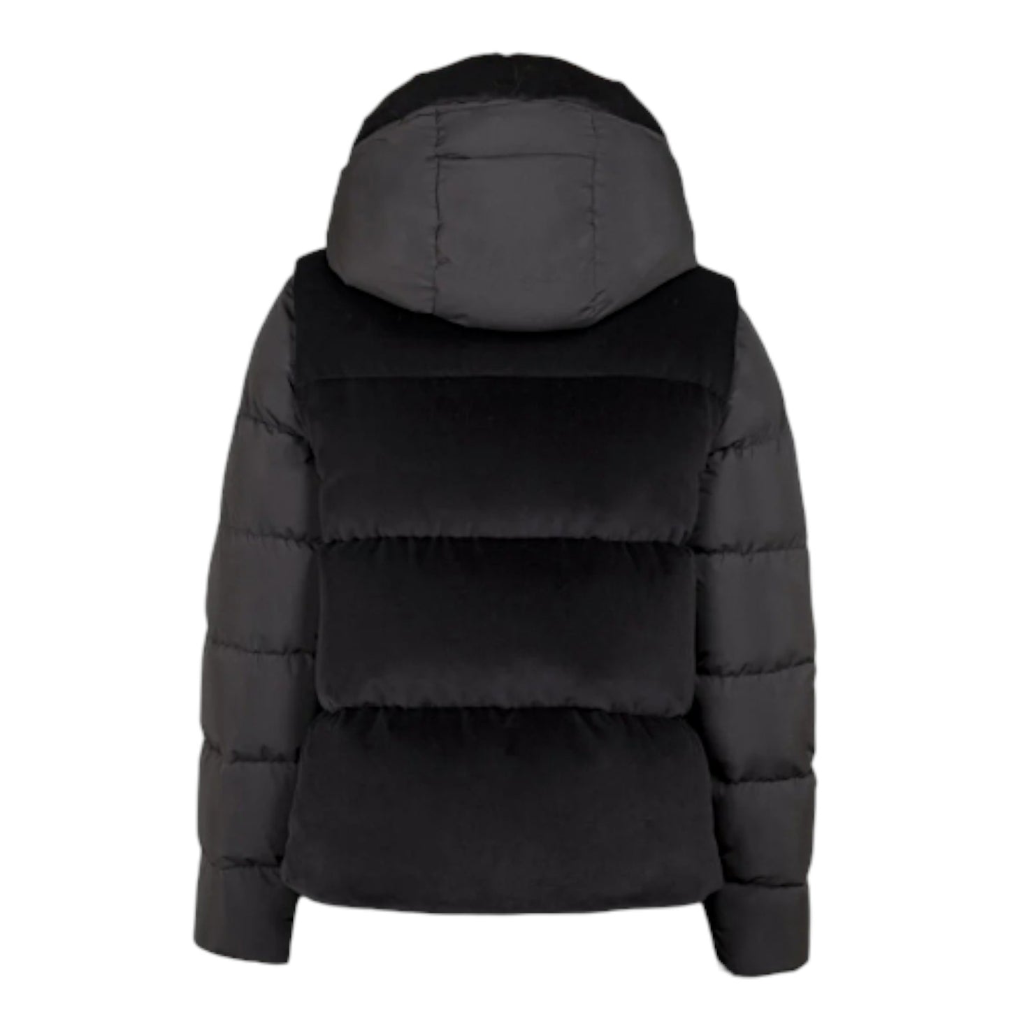 The Obsidian Chameleon: Velvet Whisper, Alpine Power