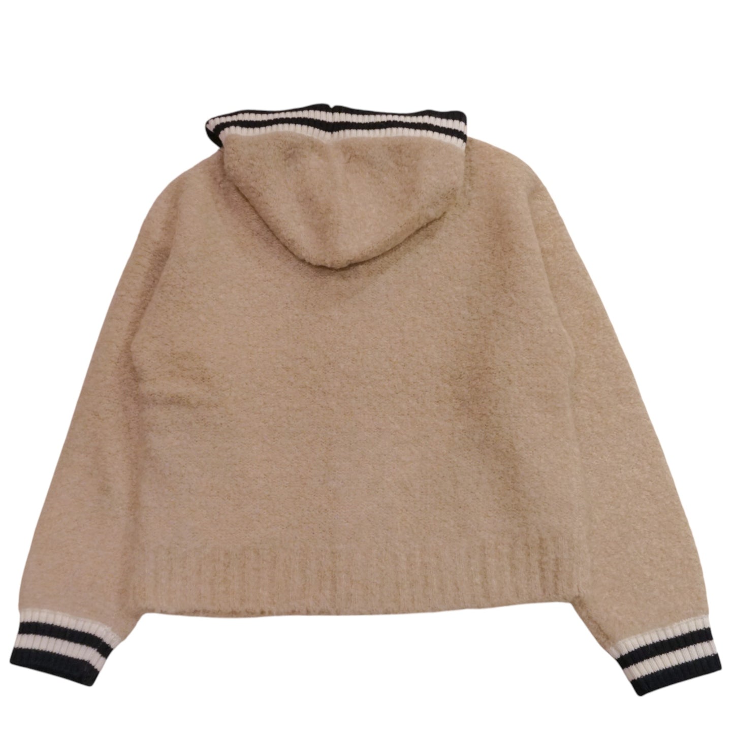 The Alpine Whisper Hoodie