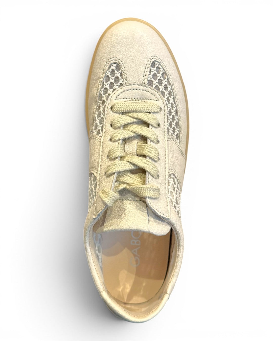 LACE & LEATHER REFINEMENT